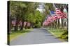 United States of America Flags Lining Tree Lined Road-Terry Eggers-Stretched Canvas