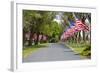 United States of America Flags Lining Tree Lined Road-Terry Eggers-Framed Photographic Print