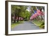 United States of America Flags Lining Tree Lined Road-Terry Eggers-Framed Photographic Print