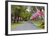 United States of America Flags Lining Tree Lined Road-Terry Eggers-Framed Photographic Print