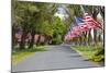 United States of America Flags Lining Tree Lined Road-Terry Eggers-Mounted Photographic Print