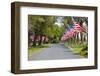 United States of America Flags Lining Tree Lined Road-Terry Eggers-Framed Photographic Print