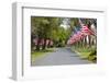 United States of America Flags Lining Tree Lined Road-Terry Eggers-Framed Photographic Print