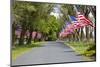 United States of America Flags Lining Tree Lined Road-Terry Eggers-Mounted Photographic Print