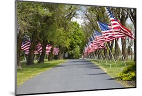 United States of America Flags Lining Tree Lined Road-Terry Eggers-Mounted Photographic Print