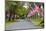 United States of America Flags Lining Tree Lined Road-Terry Eggers-Mounted Photographic Print