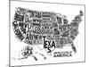 United States of America Stylized Text Map-null-Mounted Poster