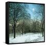 United States (Ohio), a Winter Morning-Leon, Levy et Fils-Framed Stretched Canvas