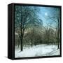 United States (Ohio), a Winter Morning-Leon, Levy et Fils-Framed Stretched Canvas