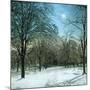 United States (Ohio), a Winter Morning-Leon, Levy et Fils-Mounted Photographic Print