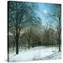 United States (Ohio), a Winter Morning-Leon, Levy et Fils-Stretched Canvas