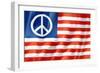 United States Peace Flag-daboost-Framed Art Print