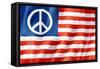 United States Peace Flag-daboost-Framed Stretched Canvas