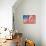 United States Peace Flag-daboost-Stretched Canvas displayed on a wall