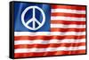 United States Peace Flag-daboost-Framed Stretched Canvas