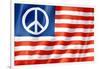United States Peace Flag-daboost-Framed Art Print