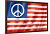 United States Peace Flag-daboost-Framed Art Print