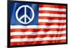 United States Peace Flag-daboost-Framed Art Print