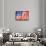 United States Peace Flag-daboost-Framed Stretched Canvas displayed on a wall