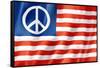 United States Peace Flag-daboost-Framed Stretched Canvas