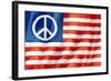 United States Peace Flag-daboost-Framed Art Print