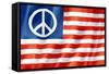 United States Peace Flag-daboost-Framed Stretched Canvas