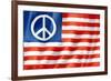 United States Peace Flag-daboost-Framed Art Print