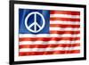 United States Peace Flag-daboost-Framed Art Print