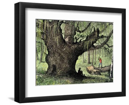 Giclee Print, , large