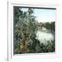 United States, the Niagara River-Leon, Levy et Fils-Framed Photographic Print