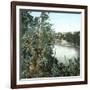 United States, the Niagara River-Leon, Levy et Fils-Framed Photographic Print