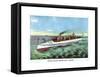 United States Torpedo Boat 'Cushing', 1890S-null-Framed Stretched Canvas