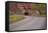 United States, Utah, Capitol Reef National Park, Historic Wooden Barn at Fruita-David Wall-Framed Stretched Canvas