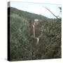 United States, Virgin Forest in the Catskills-Leon, Levy et Fils-Stretched Canvas