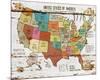 United StatesOf America Map II-null-Mounted Art Print