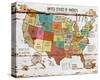 United StatesOf America Map II-null-Stretched Canvas