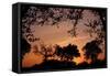 Unity Sunset-Tammy Putman-Framed Stretched Canvas