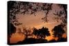 Unity Sunset-Tammy Putman-Stretched Canvas