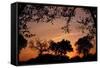 Unity Sunset-Tammy Putman-Framed Stretched Canvas