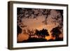 Unity Sunset-Tammy Putman-Framed Photographic Print