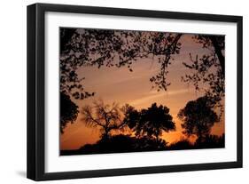 Unity Sunset-Tammy Putman-Framed Photographic Print