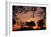 Unity Sunset-Tammy Putman-Framed Photographic Print