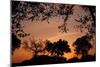Unity Sunset-Tammy Putman-Mounted Photographic Print
