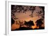 Unity Sunset-Tammy Putman-Framed Photographic Print