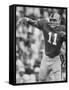 Univ. of Florida Quarterback Steve Spurrier, Top Professional Football Draft Pick-Bill Eppridge-Framed Stretched Canvas