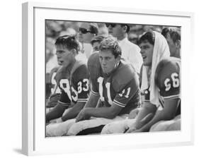 Univ. of Florida Quarterback Steve Spurrier, Top Professional Football Draft Pick-null-Framed Premium Photographic Print