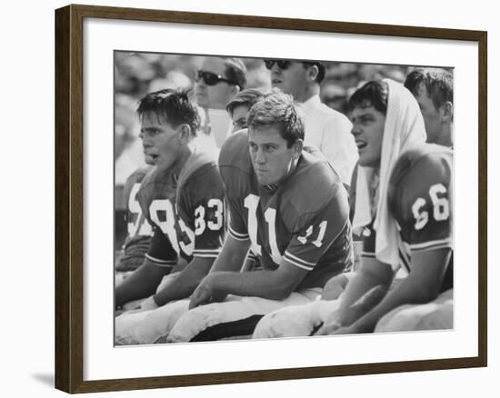 Univ. of Florida Quarterback Steve Spurrier, Top Professional Football Draft Pick-null-Framed Premium Photographic Print