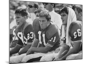 Univ. of Florida Quarterback Steve Spurrier, Top Professional Football Draft Pick-null-Mounted Premium Photographic Print
