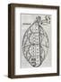 Universal Harmony, 17th Century Artwork-Middle Temple Library-Framed Photographic Print