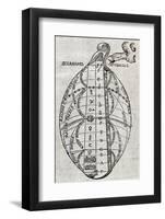 Universal Harmony, 17th Century Artwork-Middle Temple Library-Framed Photographic Print